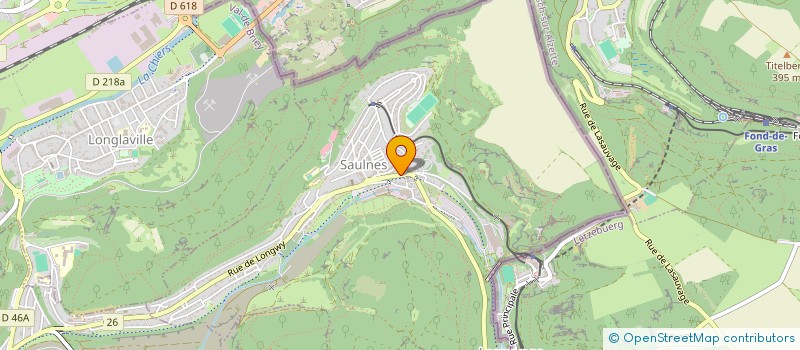 localisation de l'entreprise SARL RENOVATION SERVICES  SAULNES