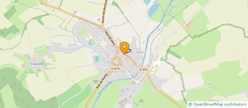 localisation de l'entreprise SARL RIBOULOT ET FILS  CHATEAU-SALINS