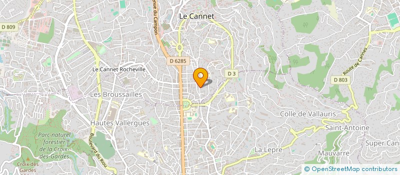 localisation de l'entreprise SARL RICARD PEINTURE à LE CANNET