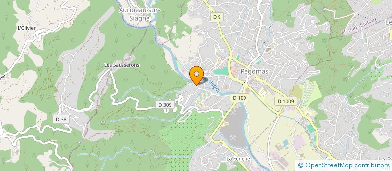 localisation de l'entreprise SARL RICCI  PEGOMAS