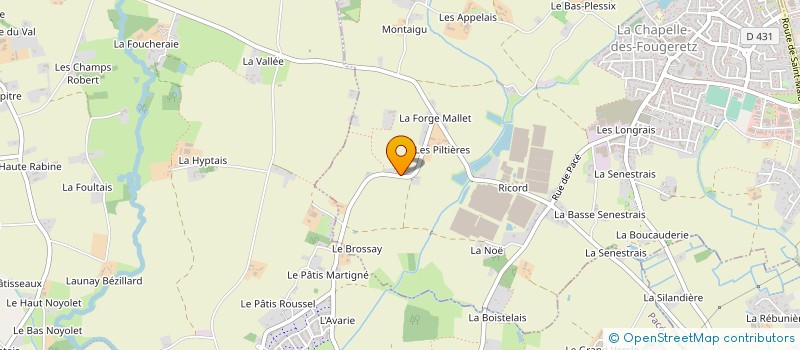 localisation de l'entreprise SARL RICHARD  LA CHAPELLE-DES-FOUGERETZ