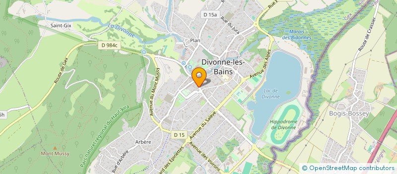 localisation de l'entreprise SARL RIVOLI BOUTIQUE à DIVONNE-LES-BAINS