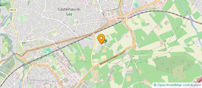 localisation de l'entreprise SARL RODENAS à CASTELNAU-LE-LEZ