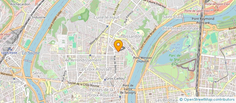 localisation de l'entreprise SARL ROSATI DLPL à LYON