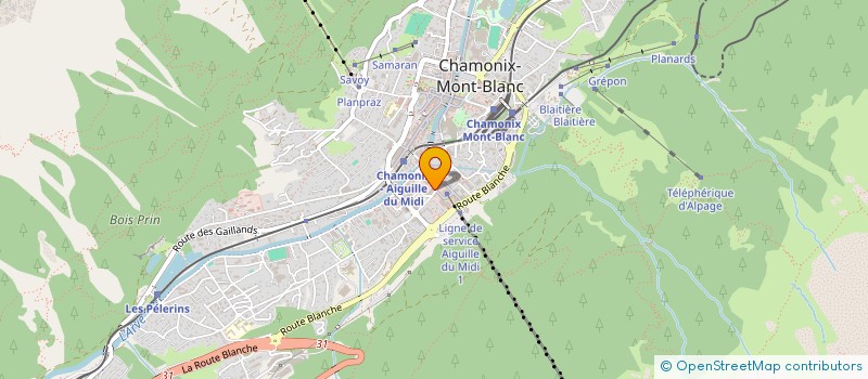 localisation de l'entreprise SARL SERVICES  4807  CHAMONIX-MONT-BLANC