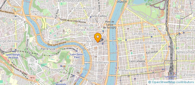 localisation de l'entreprise SARL TERREAUX GSM à LYON