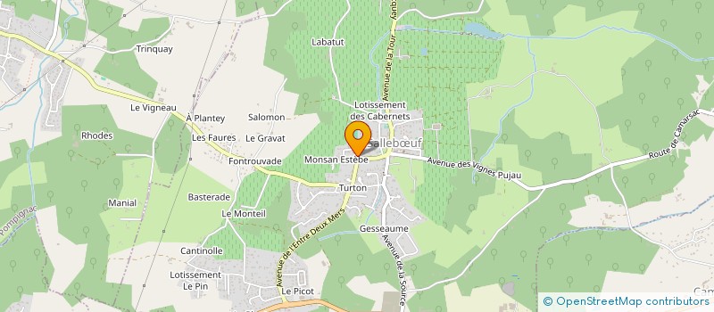 localisation de l'entreprise SARL TESSONNEAU-LAGARDE  SALLEBUF