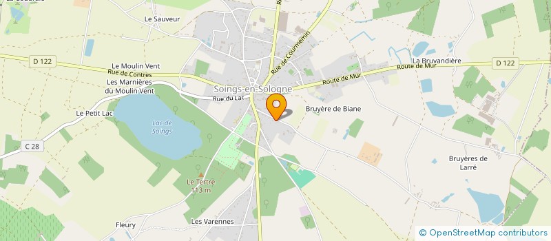 localisation de l'entreprise SARL THIERRY DAUMAIN  SOINGS-EN-SOLOGNE