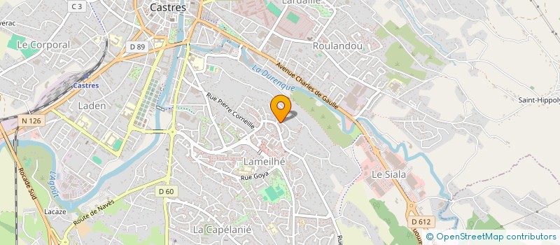 localisation de l'entreprise SARL TRANSPORT LOCATION DISTRIBUTION  CASTRES