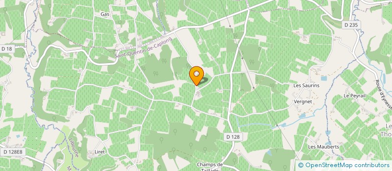 localisation de l'entreprise SARL TYLER & FILS à SAINT-QUENTIN-DE-CAPLONG