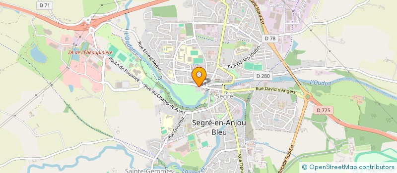 localisation de l'entreprise SARL UNIPERSONNELLE BIZOT à SEGRE-EN-ANJOU BLEU