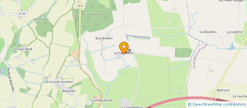 localisation de l'entreprise SARL UNIPERSONNELLE COREMAT à CHAMPTOCE-SUR-LOIRE