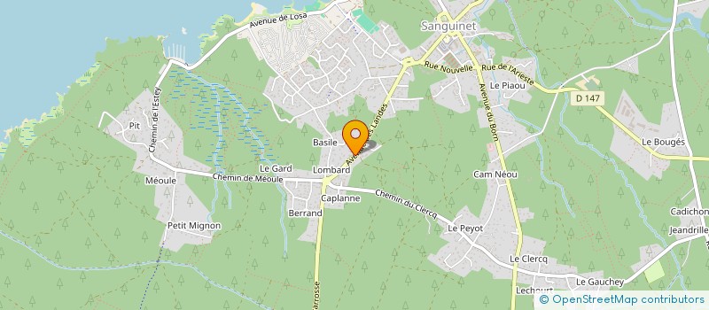 localisation de l'entreprise SARL UNIPERSONNELLE LOUSTAOU à SANGUINET