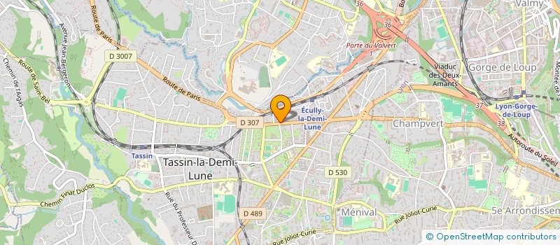 localisation de l'entreprise SARL V.DECHAUME à TASSIN-LA-DEMI-LUNE