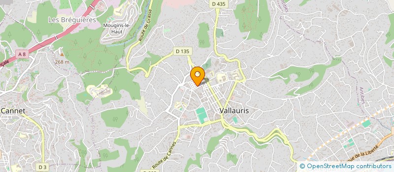 localisation de l'entreprise SARL VICTOR RENOV à VALLAURIS