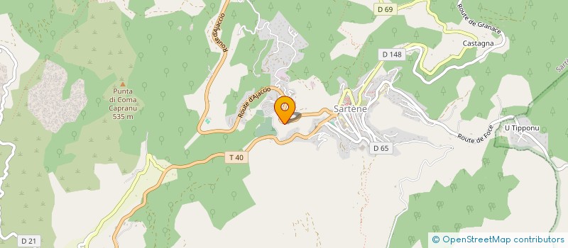 localisation de l'entreprise SARTENE INFORMATIQUE  SARTENE