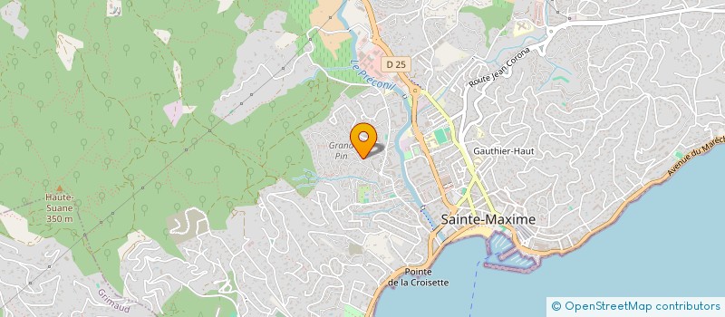 localisation de l'entreprise SARU GALLERY à SAINTE-MAXIME