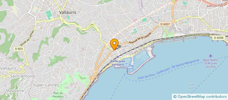 localisation de l'entreprise SAS AGENCE DU SQUARE  VALLAURIS