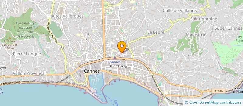 localisation de l'entreprise SAS AIGLE INVESTISSEMENTS à CANNES