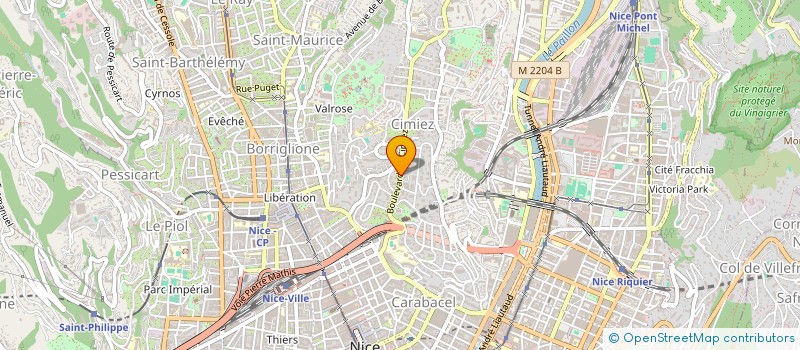 localisation de l'entreprise SAS API  NICE