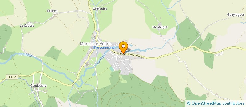 localisation de l'entreprise SAS ATELIER VIANDES ET SAVEURS  MURAT-SUR-VEBRE