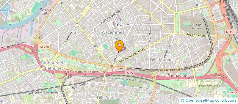 localisation de l'entreprise SAS BANZAI à LILLE