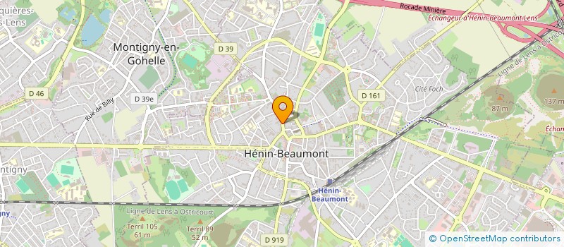 localisation de l'entreprise SAS BATI RENOVE à LILLE