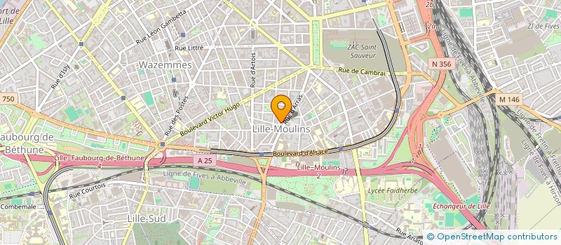 localisation de l'entreprise SAS BEST PIZZA à LILLE