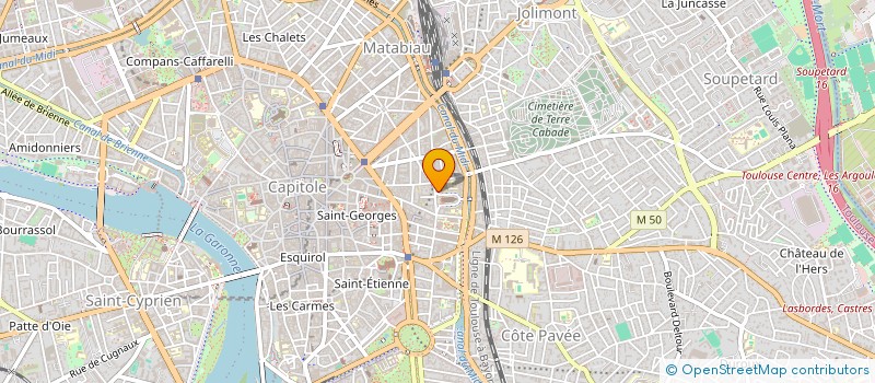 localisation de l'entreprise SAS BOST  TOULOUSE
