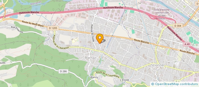 localisation de l'entreprise SAS BRIFFAZ BOUVERAT à MARNAZ