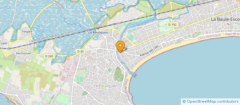 localisation de l'entreprise SAS CABINET BOUSCAUD à LA BAULE-ESCOUBLAC