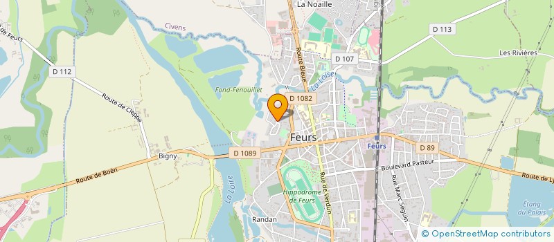 localisation de l'entreprise SAS CABINET IMMOBILIER CHATAGNON  FEURS