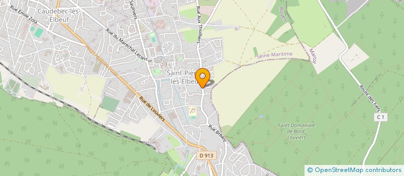 localisation de l'entreprise SAS D'OLIVEIRA MARTIN à SAINT-PIERRE-LES-ELBEUF