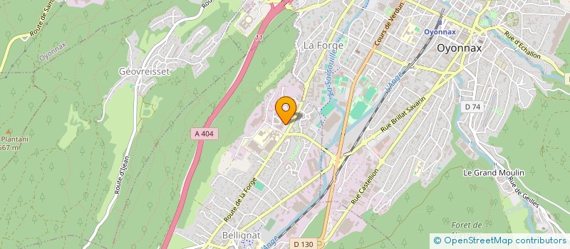 localisation de l'entreprise SAS DEGIRMI à BELLIGNAT