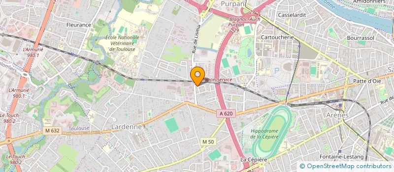 localisation de l'entreprise SAS DELMONTE à TOULOUSE