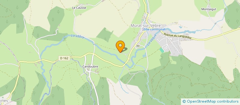 localisation de l'entreprise SAS DES ADRETS  MURAT-SUR-VEBRE