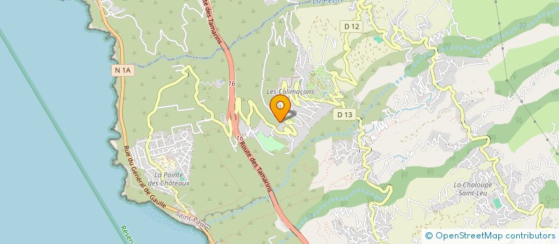 localisation de l'entreprise SAS DES BAMBOUS  SAINT-LEU