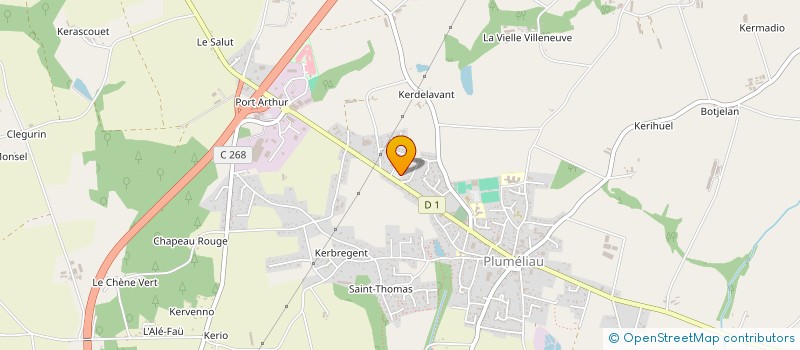 localisation de l'entreprise SAS DES VETERINAIRES BRETAGNE SUD  PLUMELIAU-BIEUZY