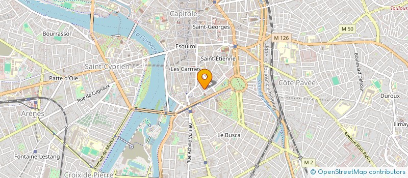 localisation de l'entreprise SAS DES VETERINAIRES DU SUD-OUEST à TOULOUSE