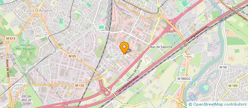 localisation de l'entreprise SAS DOCKS SERVICES à MONTPELLIER