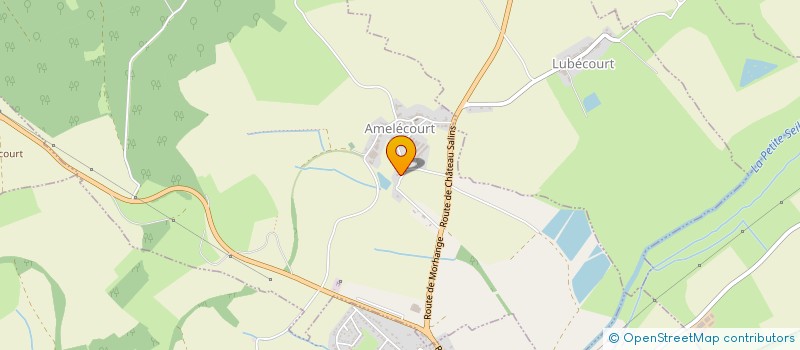 localisation de l'entreprise SAS DU MOULIN  AMELECOURT