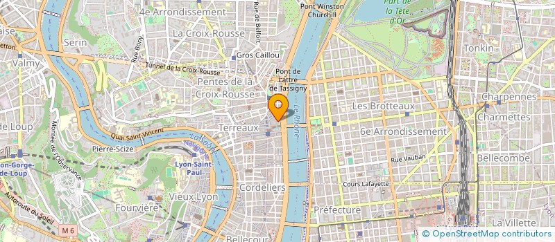 localisation de l'entreprise SAS DU PATINEUR à LYON