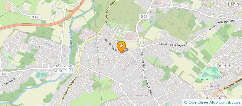 localisation de l'entreprise SAS EFFICIENCY CONSULTING  PLAISANCE-DU-TOUCH