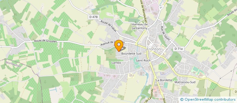 localisation de l'entreprise SAS FBI FRANCE  FRONTON