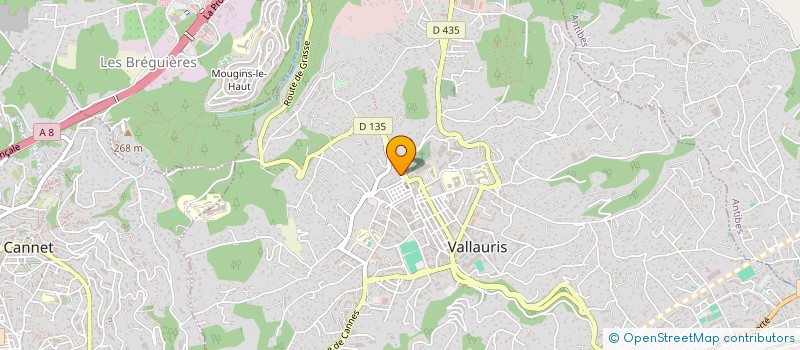 localisation de l'entreprise SAS FNJ à VALLAURIS