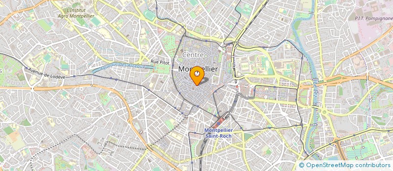 localisation de l'entreprise SAS FRAYSSINET JOAILLIER TOULOUSE à MONTPELLIER