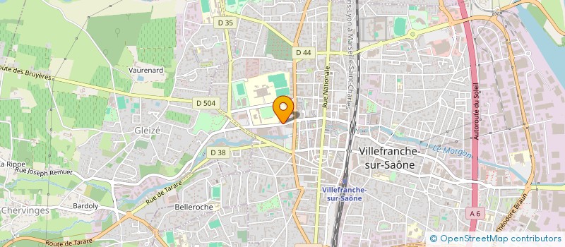 localisation de l'entreprise SAS GESTION DURAFOUR à SAINT-GEORGES-DE-RENEINS