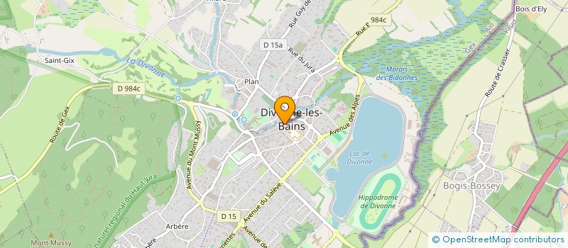 localisation de l'entreprise SAS GRAND GENEVE REAL ESTATE à DIVONNE-LES-BAINS
