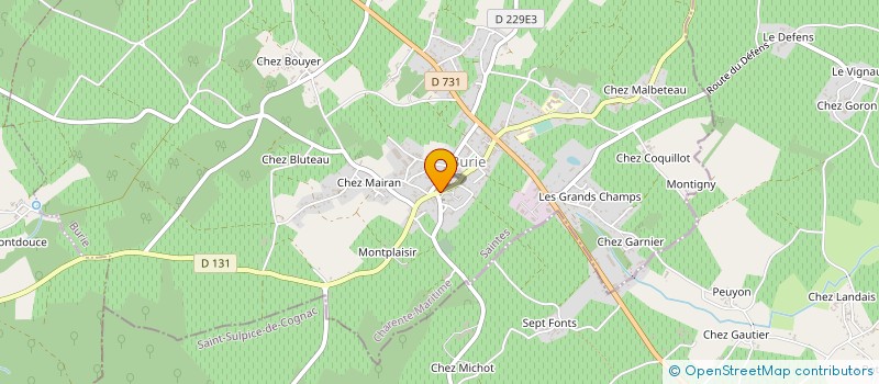 localisation de l'entreprise SAS INVESTONE à COGNAC