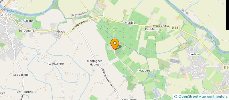 localisation de l'entreprise SAS JEAN-MICHEL PLACE EDITEUR  ALBIAS